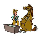 horsewater.jpg