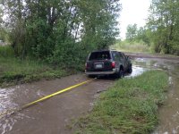 IMG_6006[1].jpg