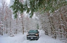 4Runner-week5.jpg
