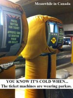 Funny Car Pictures Jan 05 - 2014 - 03.jpg