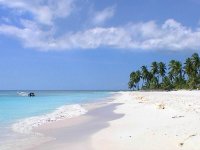 beach.jpg