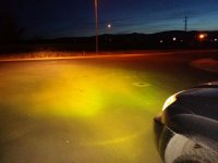 Yellow HID Fogs.jpg
