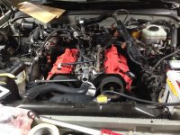 IMG_4042.jpg IMG_4042.jpg