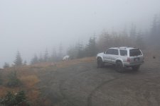 DSC_0034.jpg