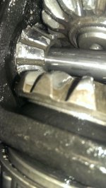 IMAG0470.jpg