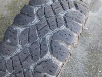 DSCF7336.jpg