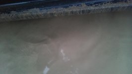 IMAG0451.jpg