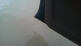 IMAG0452.jpg