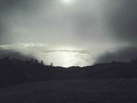 IMG_2389.jpg