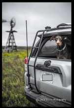 truck.jpg