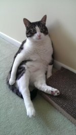 baily1.jpg