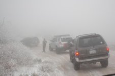 DSC_8598.jpg