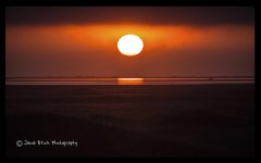 sunset2padre.jpg