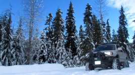 IMG_3745.JPG
