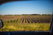 Sept 2013 NC-9.jpg