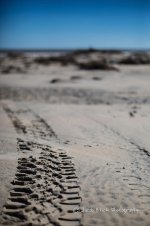 Sept 2013 NC-6.jpg