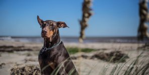 Sept 2013 NC-5.jpg