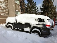 snow.jpg