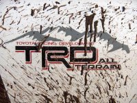 trd.jpg
