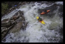 paddle1.jpg