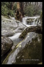 flow2.jpg