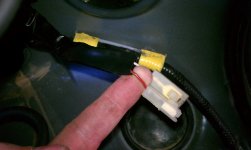 IMAG0335.jpg