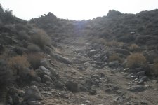 IMG_2561.jpg