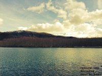 IMG_6388.jpg