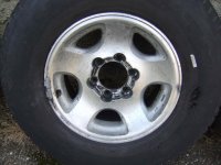 DSCF5531.jpg