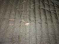 IMG_0715.jpg IMG_0715.jpg