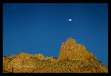 backdrop.jpg