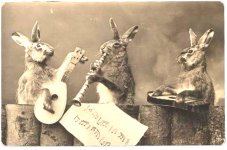 rabbit-band.jpg rabbit-band.jpg