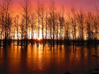 columbia_river.jpg