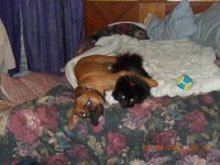 DSCN0712.jpg