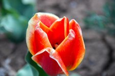DSC01862.jpg
