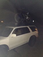IMG_7334.jpg