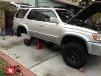 IMG_0504.jpg