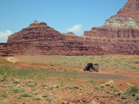 IMG_1772.jpg