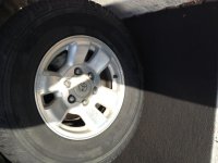 photo 4 (20).jpg