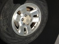 photo 5 (21).jpg