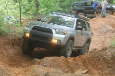 IMG_0203.jpg