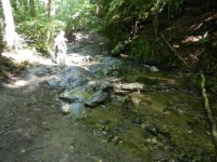 DSCN3110.jpg