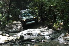 IMG_0955.jpg