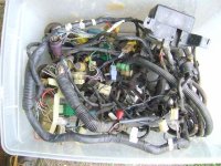 DSCF5744.jpg