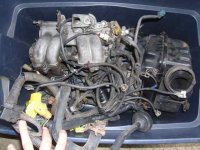 DSCF5745.jpg
