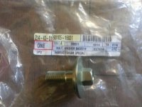Crank bolt.jpg