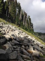 IMG_9930.jpg
