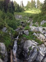 IMG_9946.jpg