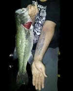 gone fishing5.jpg