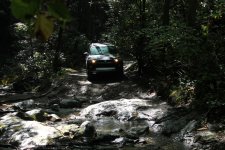 IMG_0954.jpg